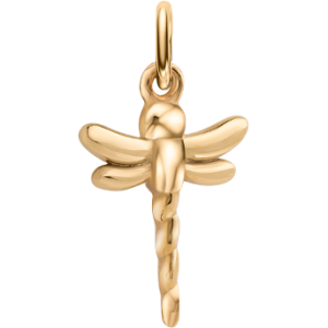 Charms na pętelce «Ważka»
