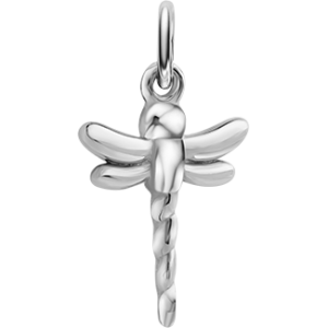 Charms na pętelce «Ważka»