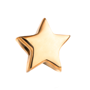 Charms «Gwiazdka»
