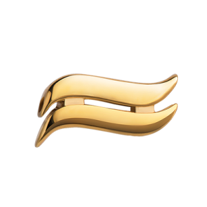 Znak zodiaku «Wodnik»