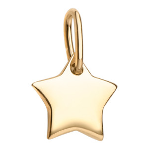Charms na pętelce «Gwiazdka»