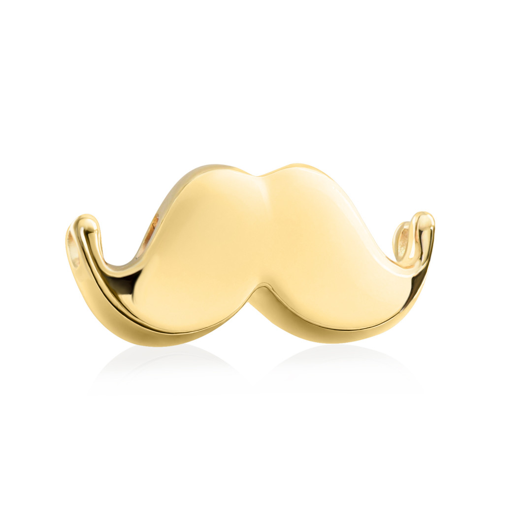 Bransoletka z charms «Wąsy»