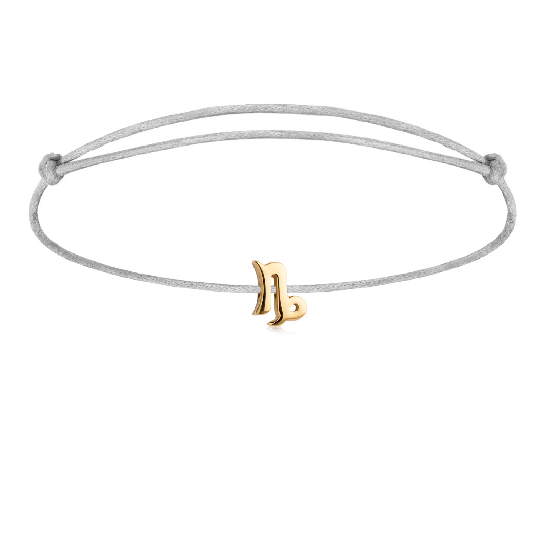 Znak zodiaku «Koziorożec»