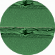 Zielony