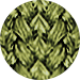 Zielony