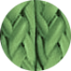 Zielony